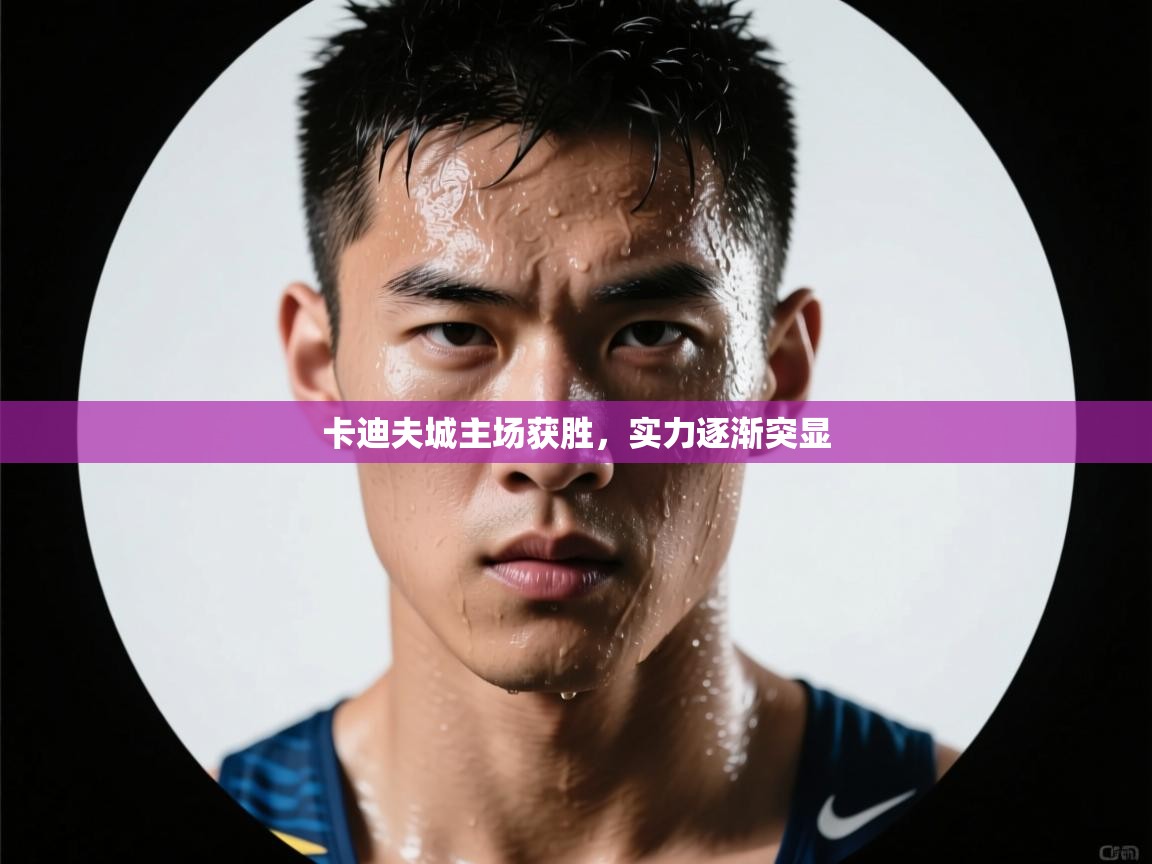 蓝鲸体育电脑版下载官网-卡迪夫城主场获胜，实力逐渐突显  第2张